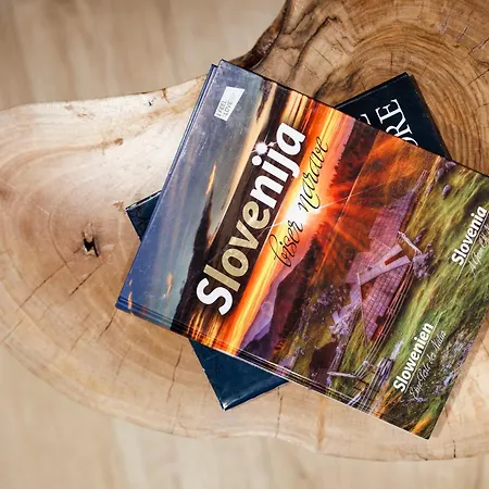 Slavc, Cosy Near The Appartamento